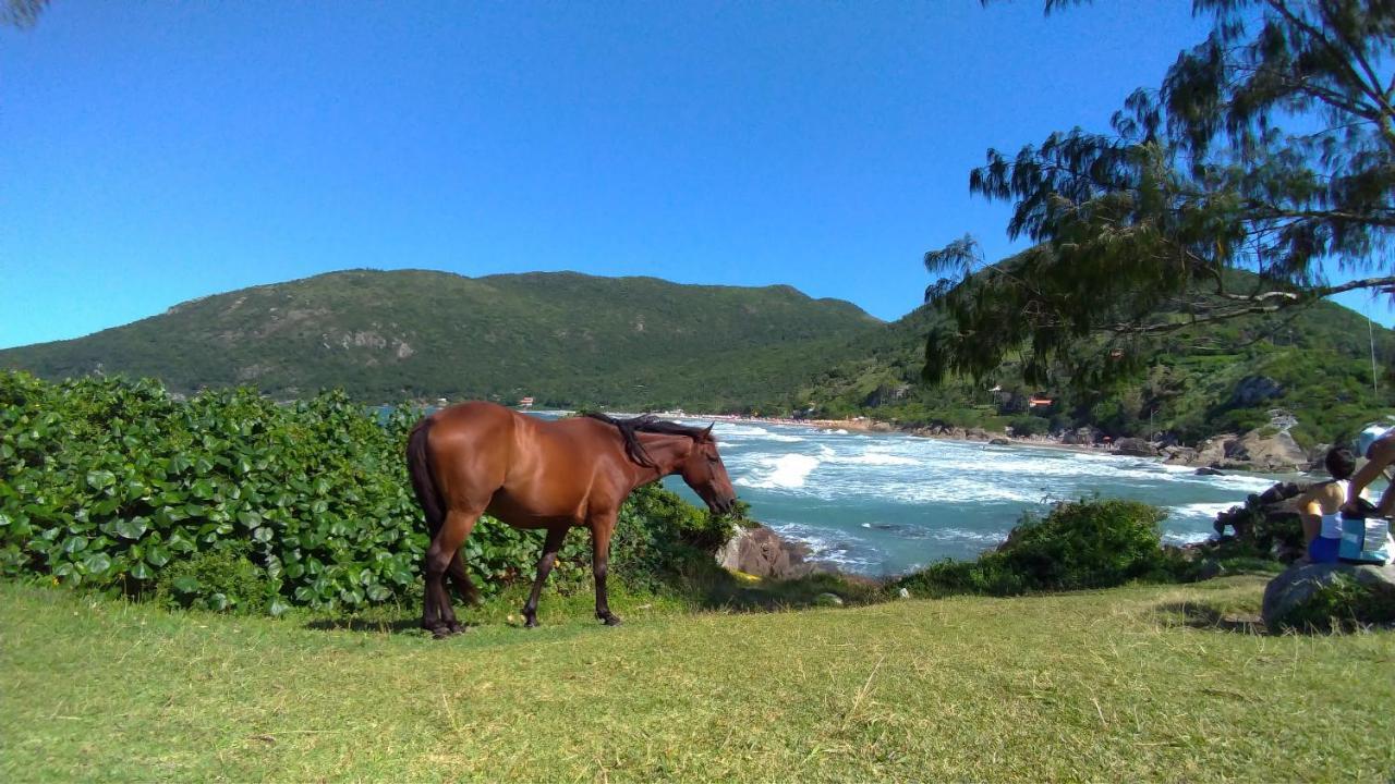 Chale Praia Da Armacao Florianópolis Kültér fotó
